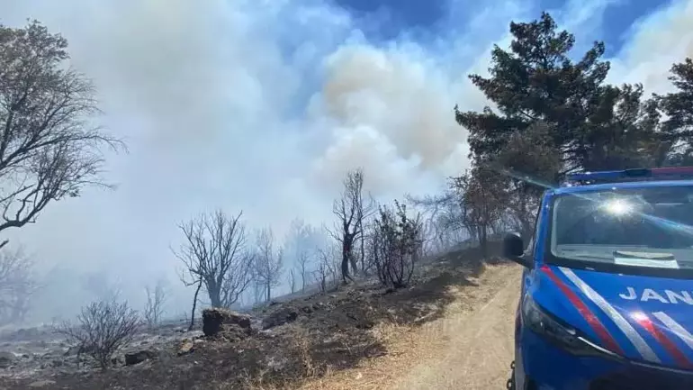 İzmir’de yangın alarmı: 1,5 ay önce küle dönen Seferihisar’da yeniden alevler yükseldi