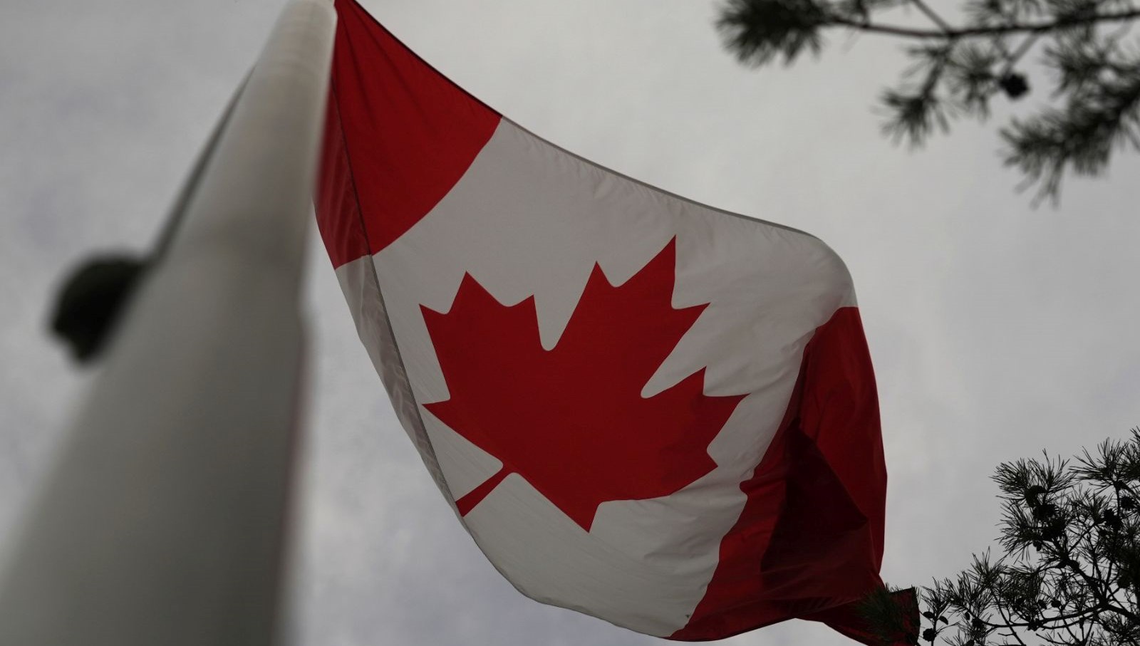 Kütüphanedeki kadının başörtüsünü yakmaya çalıştı